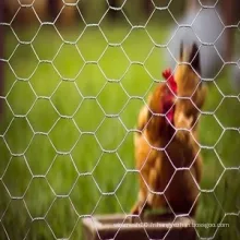 Maison jardin poulet clôture en filet en mailles hexagonales